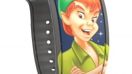 Disney Peter Pan MagicBand 2