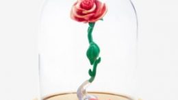 Funko Disney Beauty And The Beast Pop! Enchanted Rose Vinyl Collectible