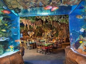 Rainforest Cafe At Disney Springs Marketplace