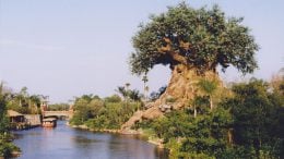 Discovery River Boats - Extinct Disney World Attractions