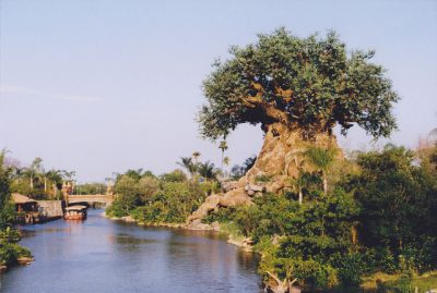 Discovery River Boats - Extinct Disney World Attractions