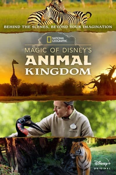 Magic of the Animal Kingdom (Disney+ Show)