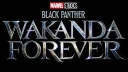 Black Panther Wakanda Forever Marvel Movie