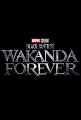 Black Panther Wakanda Forever Marvel Movie