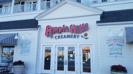 Ample Hills Creamery (Disney World)