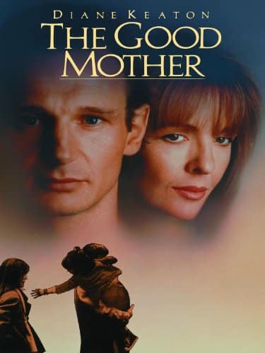 The Good Mother (Touchstone Movie)