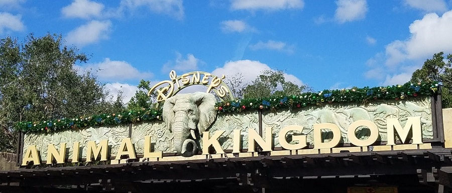 Disney's Animal Kingdom | Disney Park | A Complete Guide | DisneyNews