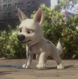 Bolt (Character) | Disney Character | A Complete Guide