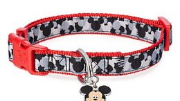 Mickey Mouse Dog Collar