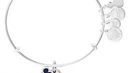 Mickey Mouse with Pink Flamingo Alex and Ani Bangle