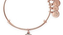 Pocahontas Meeko Alex and Ani Bangle