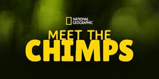 Meet the Chimps (Disney+ Show)
