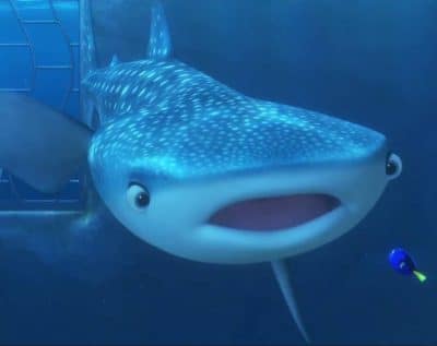 Destiny (Finding Dory)