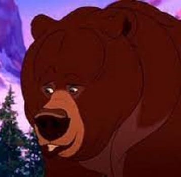 Hoonah brother bear 2