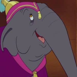 Matriarch Elephant dumbo