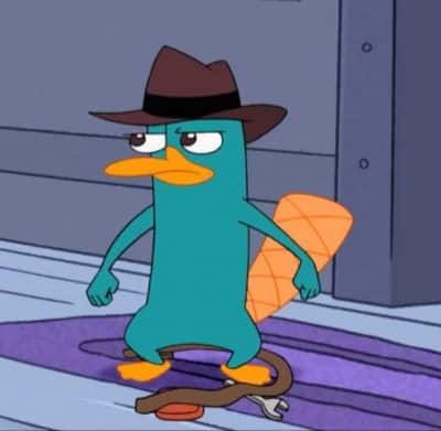 Perry the Platypus / Agent P (Phineas and Ferb)