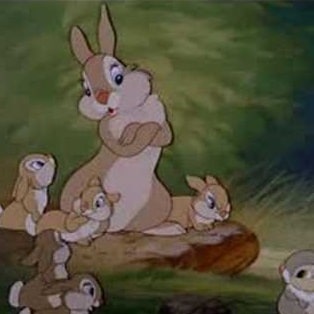Thumper s Mother Bambi Disney Character Guide Thumper s Mother Bambi Disney Character Guide