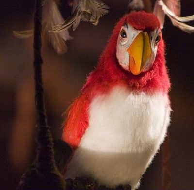 Fritz (Tiki Room)