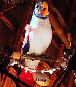 Pierre (Tiki Room)