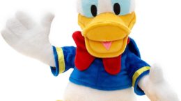 Disney Donald Duck Plush