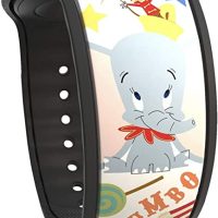 Dumbo and Timothy Mouse MagicBand 2