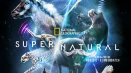 Super natural disney plus national geographic