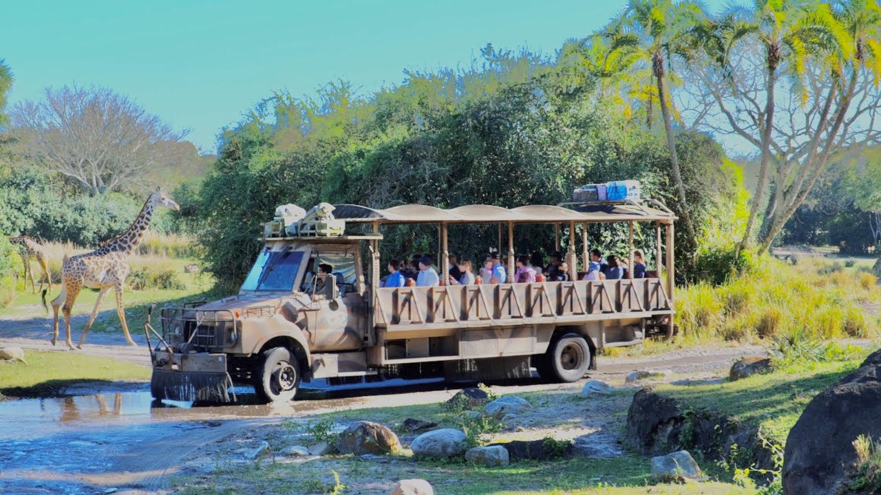 Kilimanjaro Safaris Disney World