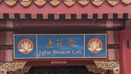 Lotus Blossom Café | Disney World