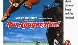 Run Cougar Run disney movie