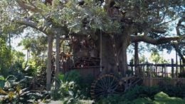 Swiss Family Treehouse disney world