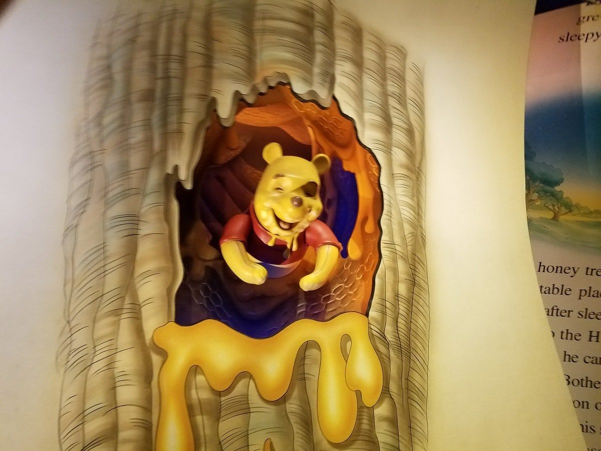 The Many Adventures of Winnie the Pooh (Disney World)