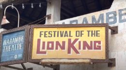 Festival of the Lion King Disney World