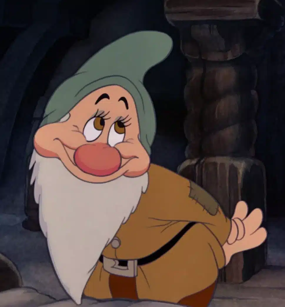 Bashful Snow White And The Seven Dwarfs The Ultimate Character Guide Dinus