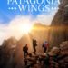Patagonia Wings