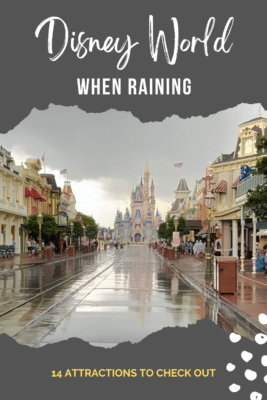 Disney World Attractions to Check Out When it is Raining