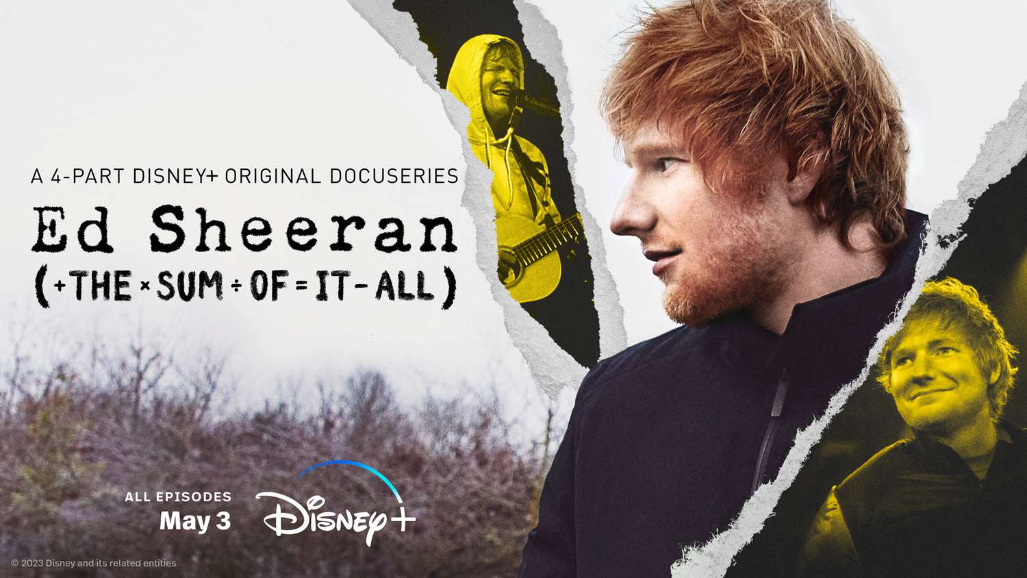 Ed Sheeran The Sum Of It All disney plus