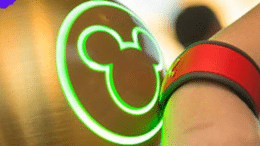 Underrated Disney World Attractions