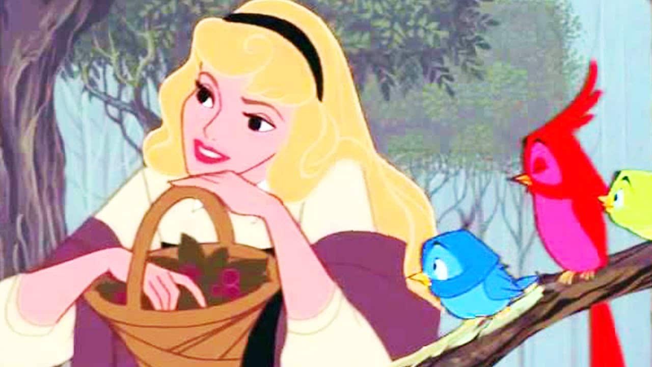 Leorio Paradinight in 2023 Aurora sleeping beauty, Disney