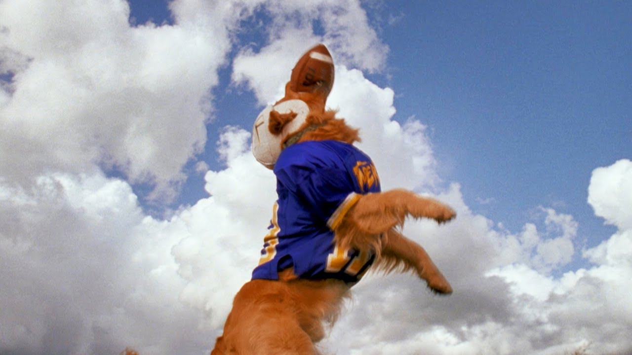 Air Bud: Golden Receiver