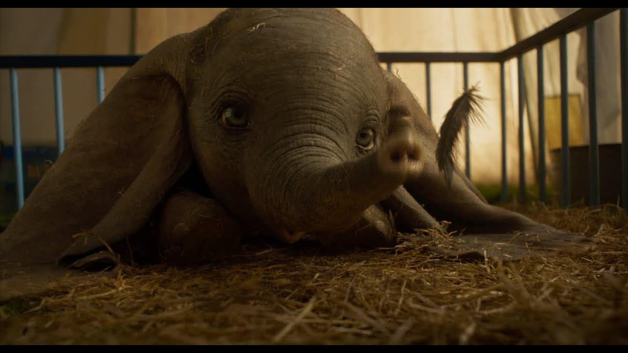 Dumbo (Live-Action)