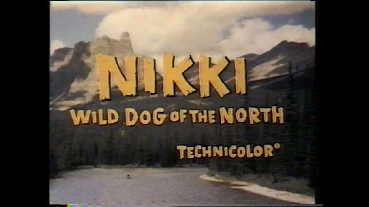 Nikki Wild Dog Of The North