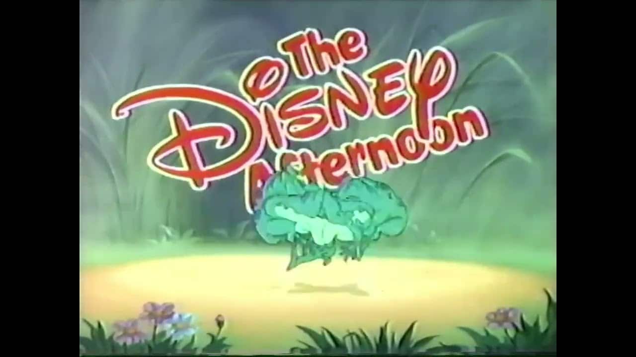 the disney afternoon cartoons 4