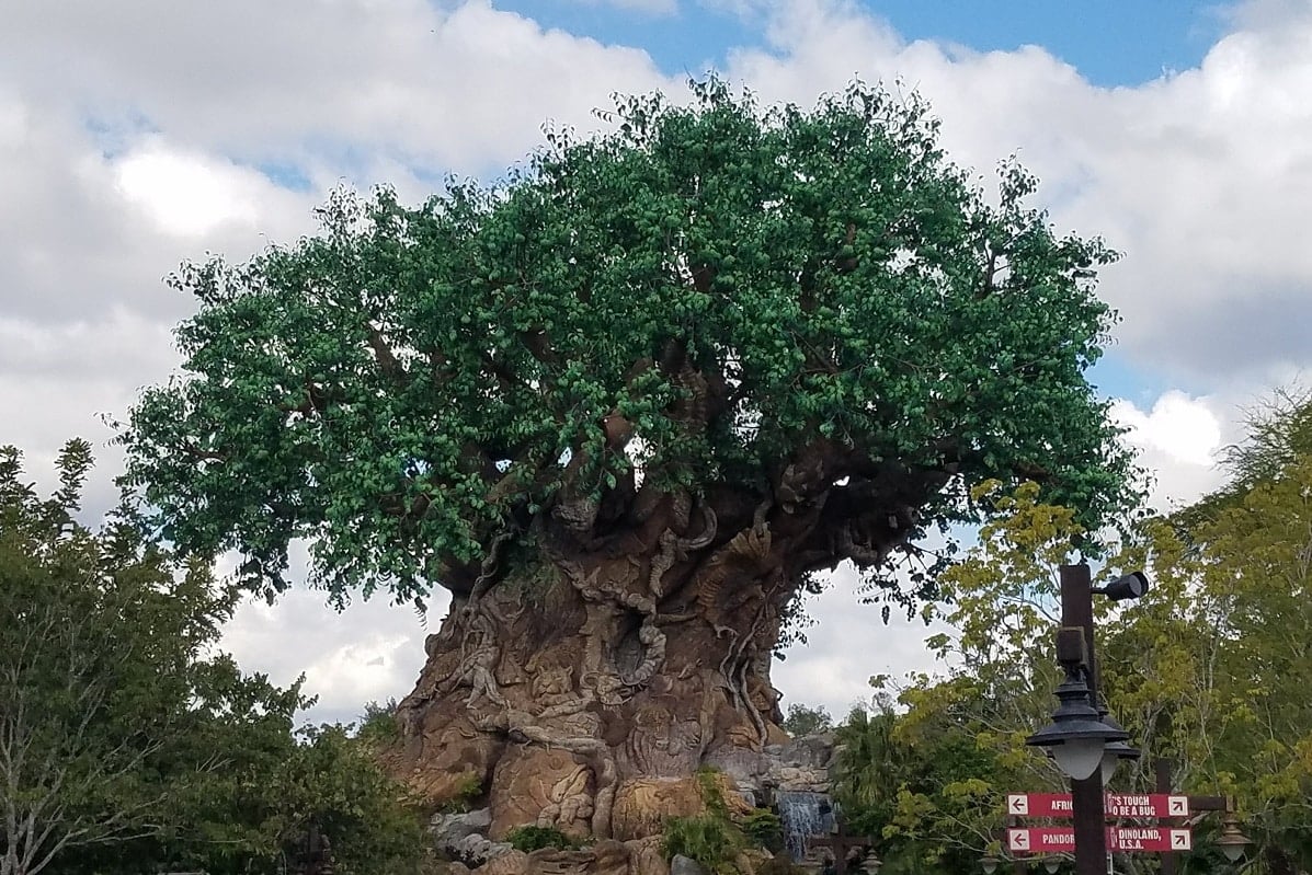 Hidden Gems at Walt Disney World