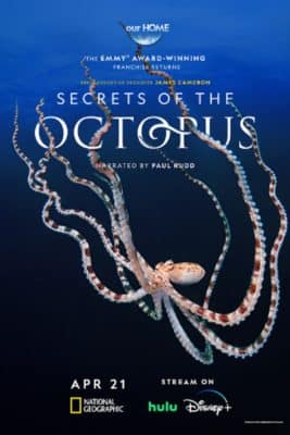 Secrets of the Octopus disney plus