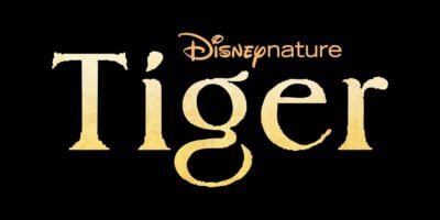 DisneyNature’s Tiger