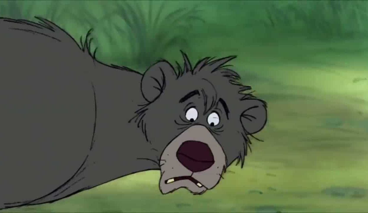 baloo bear the jungle book disney