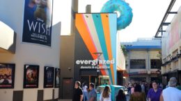 Everglazed Donuts & Cold Brew Disney World disney springs