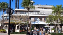 Paddlefish disney springs