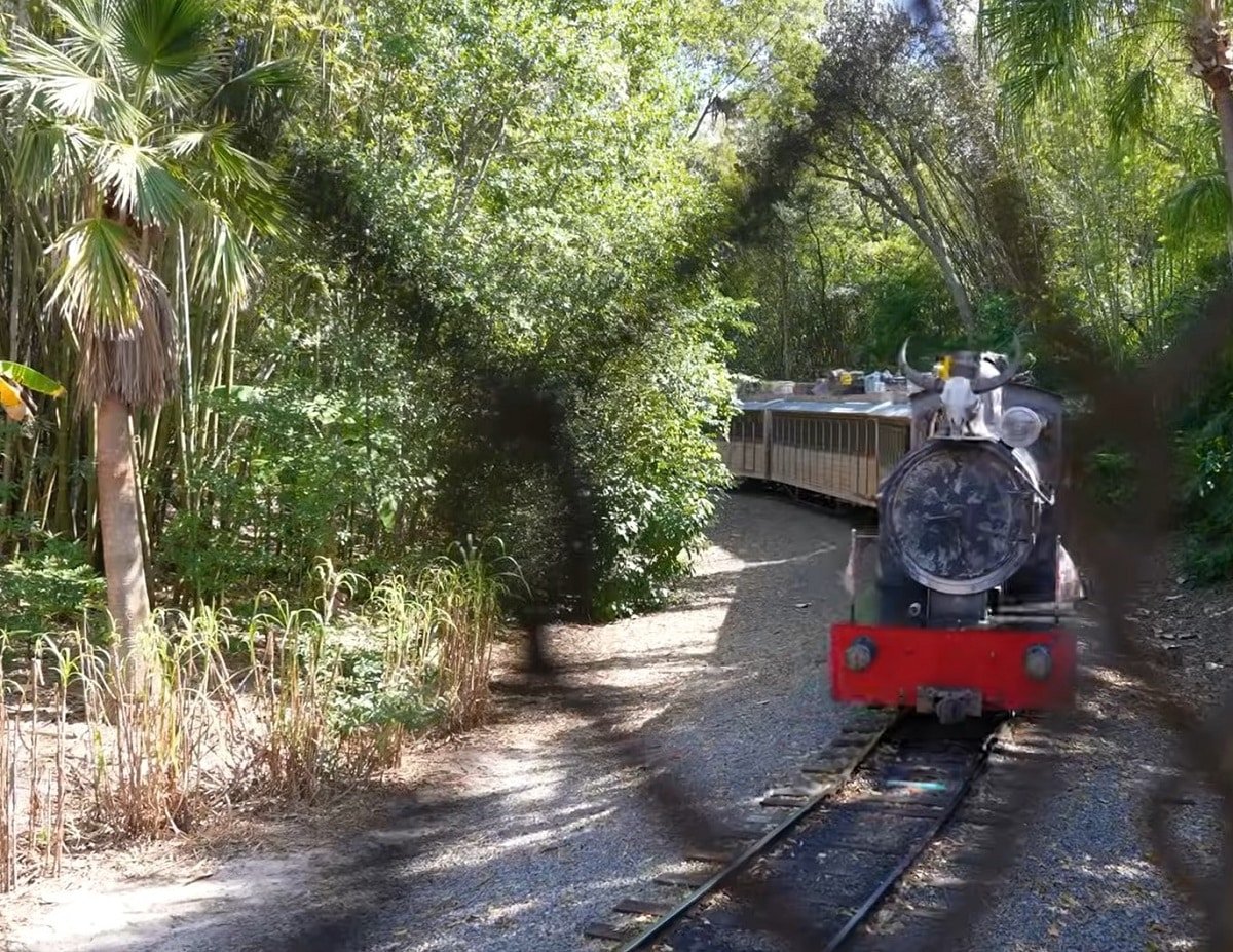 Wildlife Express Train disney animal kingdom