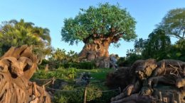 tree of life disney animal kingdom